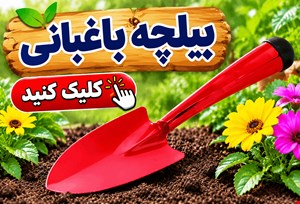 بیلچه